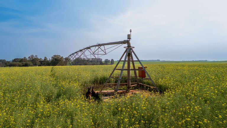 DJI_20240731145211_0591_D