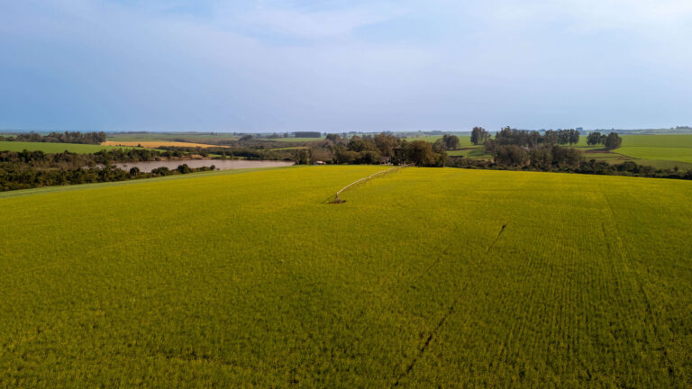 DJI_20240731150622_0624_D